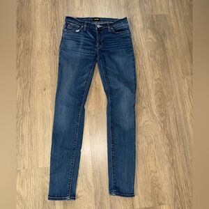 Hudson Jeans Women's Skinny‎ Jeans - Dark Blue
